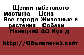 Щенки тибетского мастифа. › Цена ­ 30 000 - Все города Животные и растения » Собаки   . Ненецкий АО,Куя д.